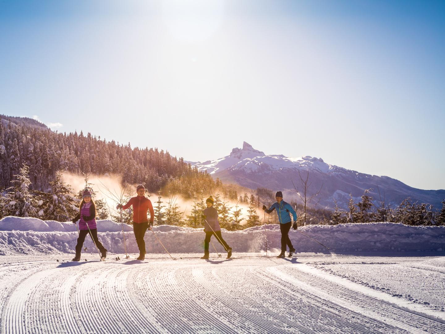 Cross-country skiing on a sunny day